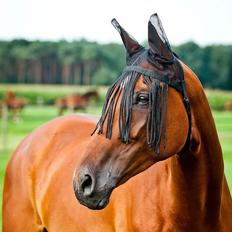 Masque anti-mouches Horze avec bonnet - Cheval Petit Prix
