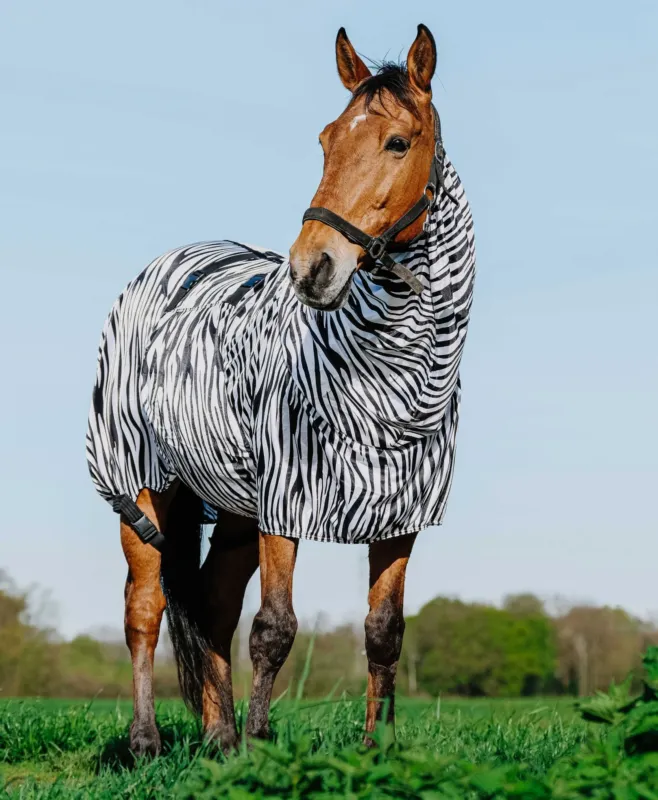 Livraison Express Couverture anti-eczma zbre Riding World - 155 cm - Zbre noir / blanc