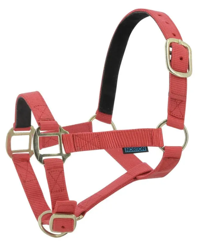 Populaire Licol nylon doubl cuir Norton - Poney - Rouge