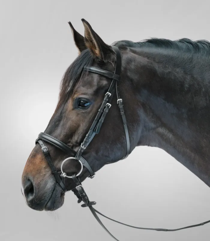 Bridon Star Lifestyle - Poney - Noir / noir Meilleure Vente