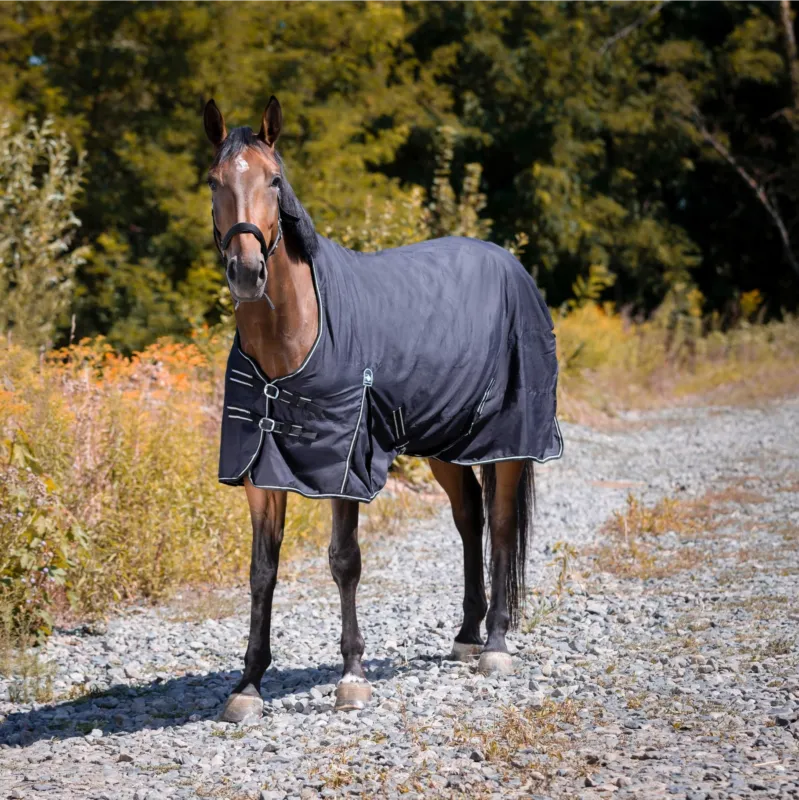 Couverture Riding World Oxford impermable 300D - 115 cm - Noir Rduction