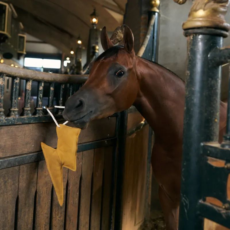 Jouet de box Imperial Riding clair - Jaune Prix Choc