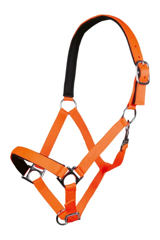 Licol Stars Softice doublure douce HKM - Shetland poney - Orange fluo Commande En Gros
