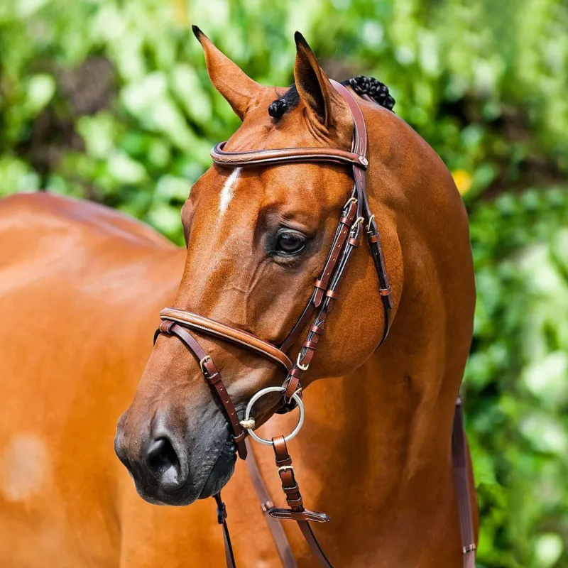 Promotion Saisonnire Filet Constance Horze - Poney - Marron