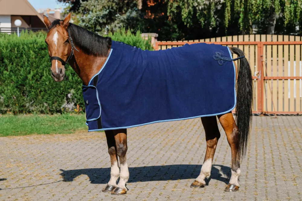 Meilleur Prix Chemise de prsentation Riding World - 145 cm - Bleu marine