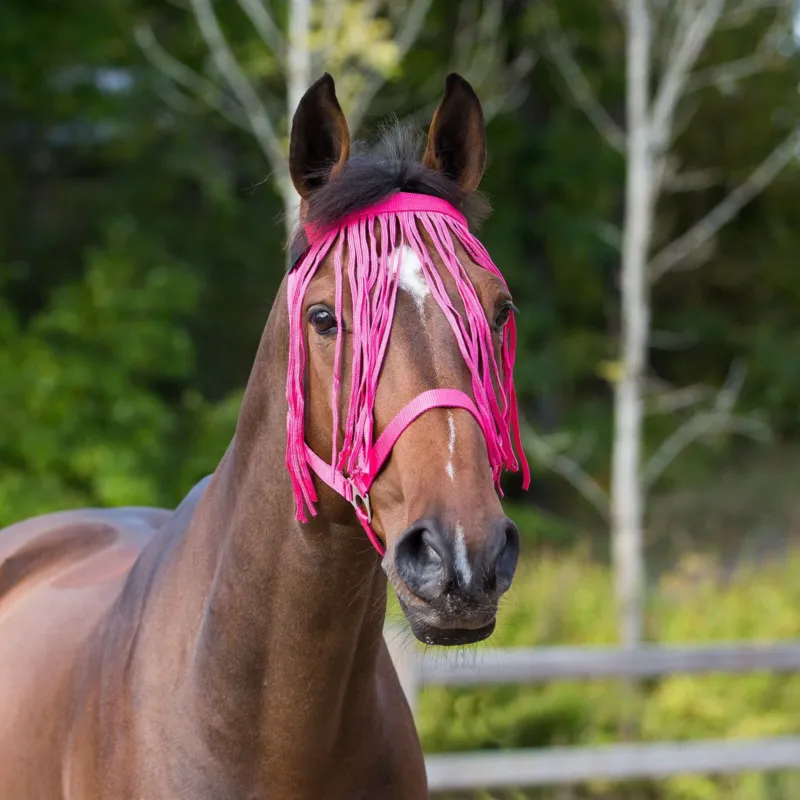 Must-Have Frontal chasse-mouches Horze - Cob - Framboise