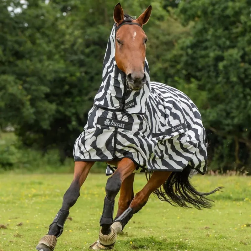 Super Prix Couverture anti-mouches Bucas Sweet-itch Zebra - 130 cm