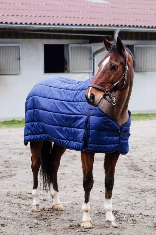 Offre Du Jour Sous-couverture Equithme Classic - 150 cm - Bleu marine