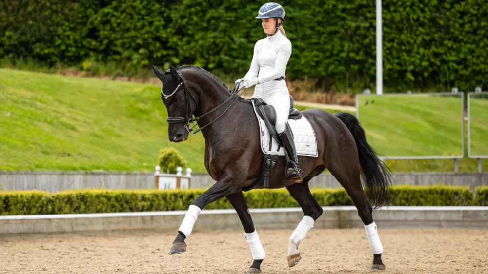 Promotion Saisonnire Tapis de selle LeMieux Loire Dressage Square - L - Blanc