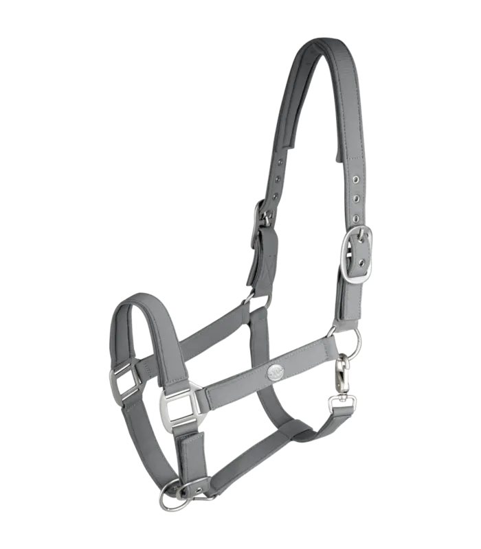 Licol Waldhausen Trinidad - Cob - Gris chrome Dernire Chance