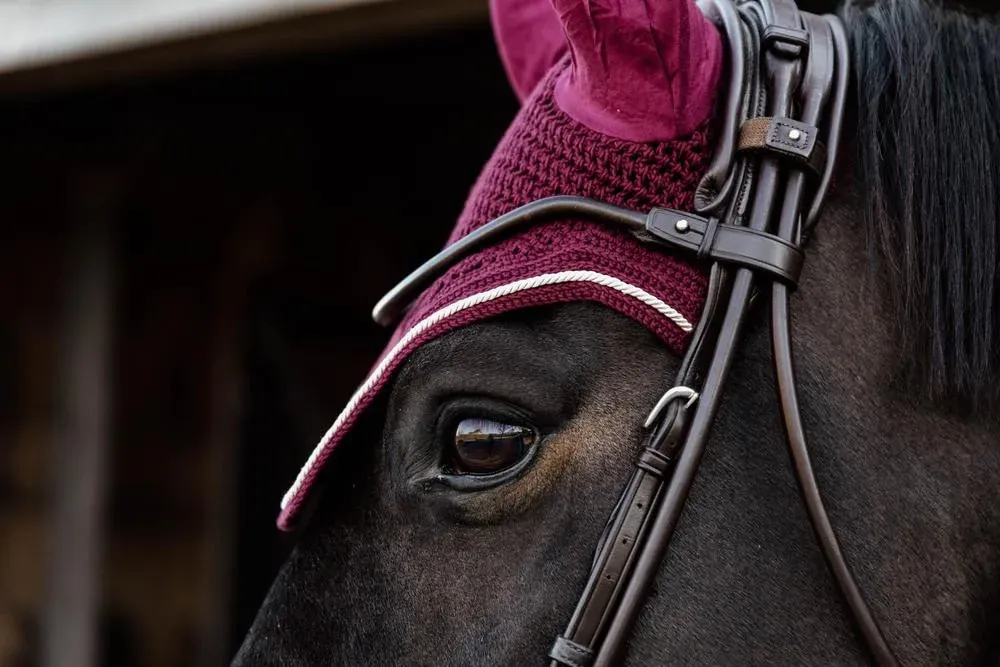 Bonnet Wellington Velvet Kentucky - Cob - Bordeaux Offre Limite