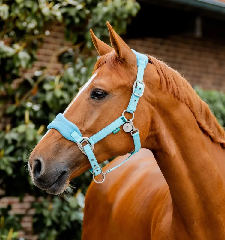 Solde Licol Horseware de pansage Signature - Cob - Brume bleu
