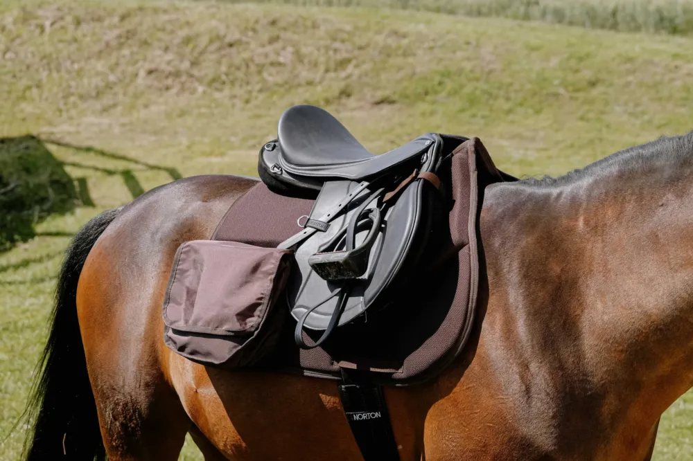 Tapis de randonne Randol's Mesh - Cheval - Marron Dernire Chance