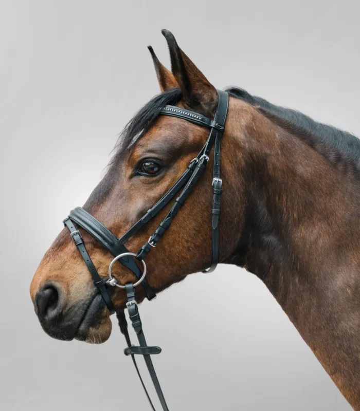 Bridon Star Diamond – Mini shetland – Noir Dernire Chance