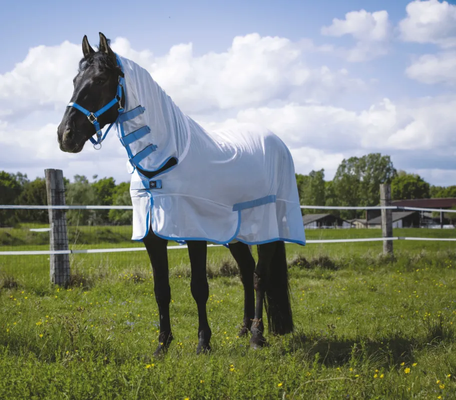 Chemise filet Riding World Combo - 125 cm - Blanc / bleu ciel Commande En Gros