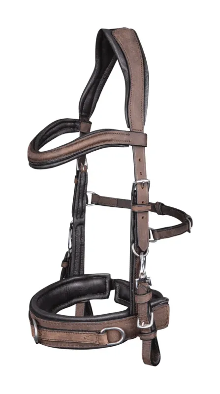 Affaire Saisir Caveon Waldhausen en cuir anatomic - Cheval - Marron