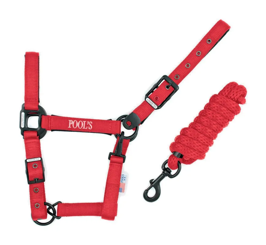 Top Vente Licol Pool's nylon boucles noires avec longe - Poney - Rouge