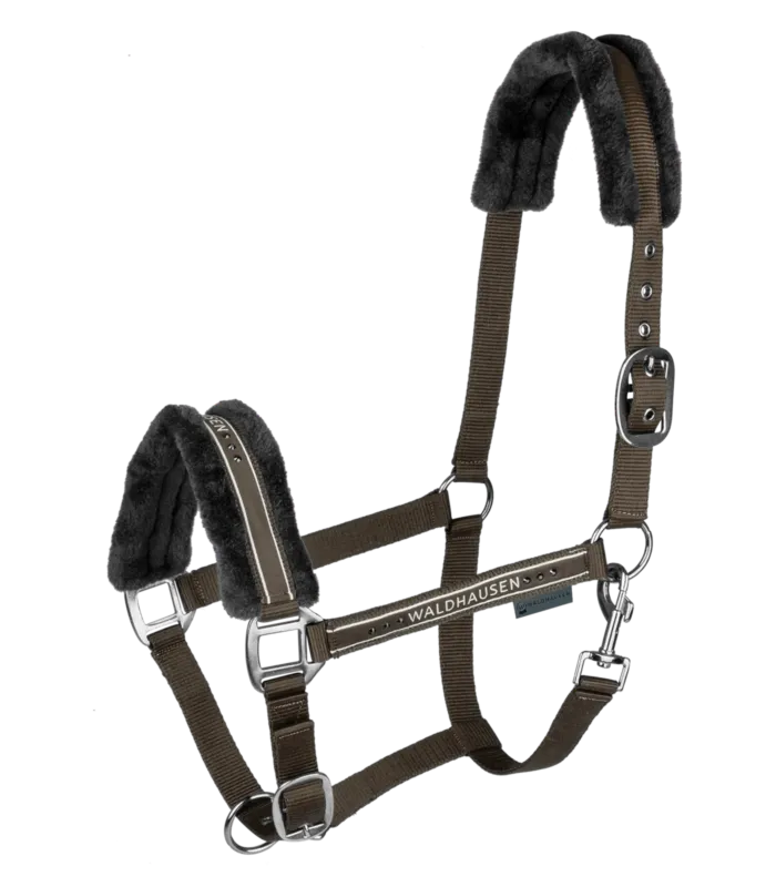 Bon Plan Licol Waldhausen Elegant - Cheval - Brun vert