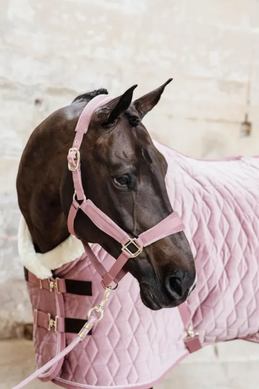 Longe Rope Basic Kentucky - 2 m - Vieux rose Certifi