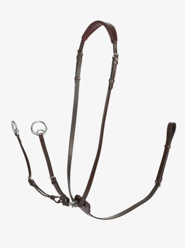 Certifi Martingale anneaux Kudos LeMieux - Cheval - Havane / argent