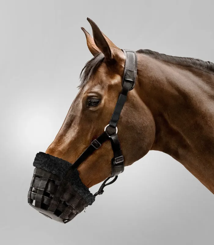 Panier Waldhausen Comfort - Grand cheval - Noir Authentique