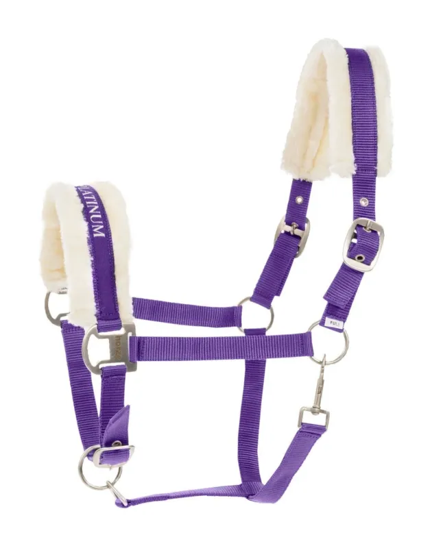 Promotion Saisonnire Licol Howard Crescendo Horze - Cob - Violet