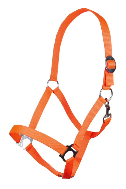 Affaire Saisir Licol Stars Economy Softice HKM - Pur-sang - Orange fluo