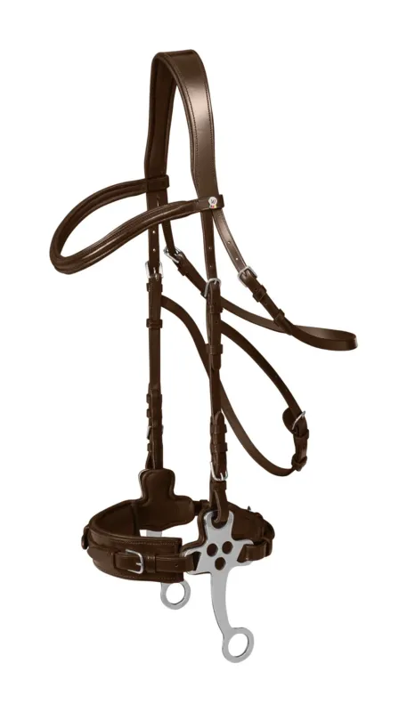 Bridon hackamore Waldhausen X-Line - Cob - Marron Prix Promo