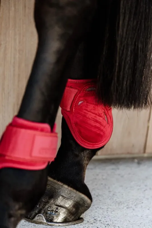 Offre Limite Protge-boulet jeunes chevaux Velvet Kentucky - L - Rouge