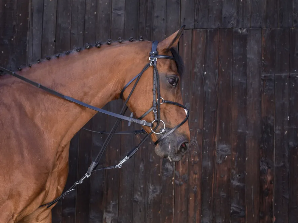 Gogue poulies Riding World - Shetland - Noir Paiement Scuris