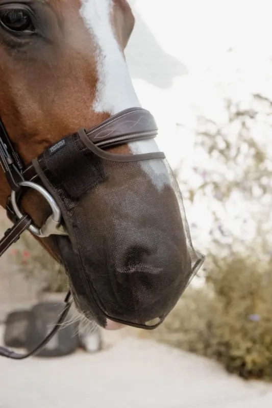 Commande En Gros Filet de nez Kentucky - Cheval - Marron