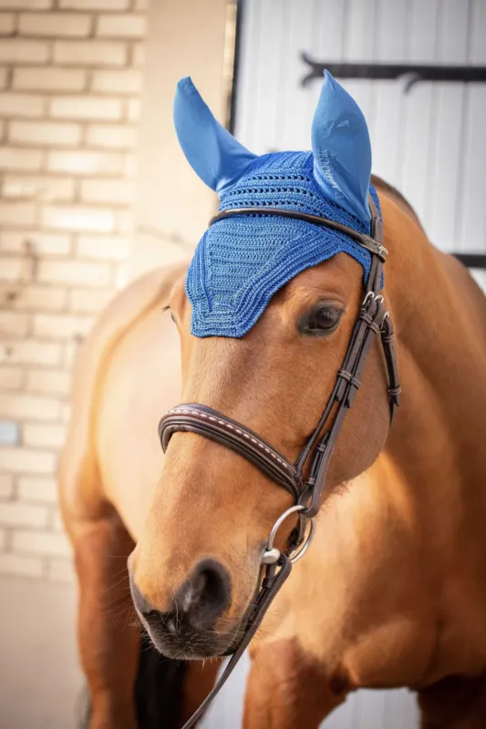 Marque Bonnet Prems Paddock Sports - Pur-sang - Bleu roi