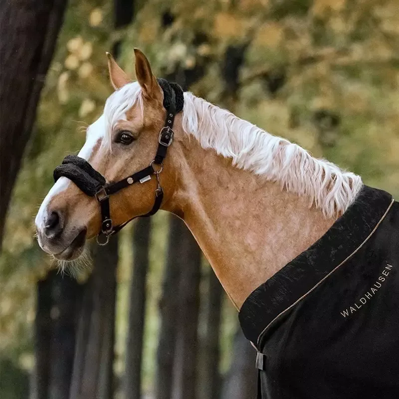 Produit De Marque Licol cheval mouton nylon Modern Ros Waldhausen – Cheval – Bleu nuit