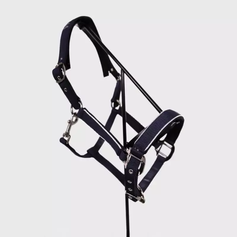 Licol et longe cheval Bamara Harcour – Cheval – Vert paon Livraison Express