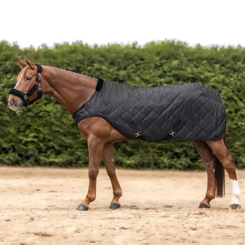 Dernier Modle Chemise marcheur cheval Exclusive 50g Waldhausen – 135 cm – Noir