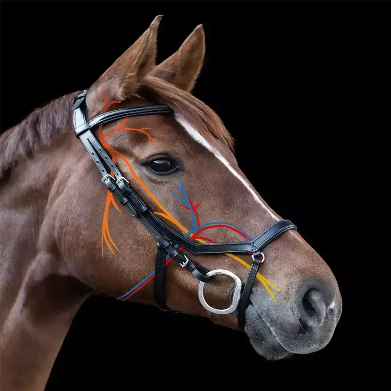 Bon March Bridon cheval X-Line Relaxation Waldhausen cuir – Cob/pur-sang – Noir