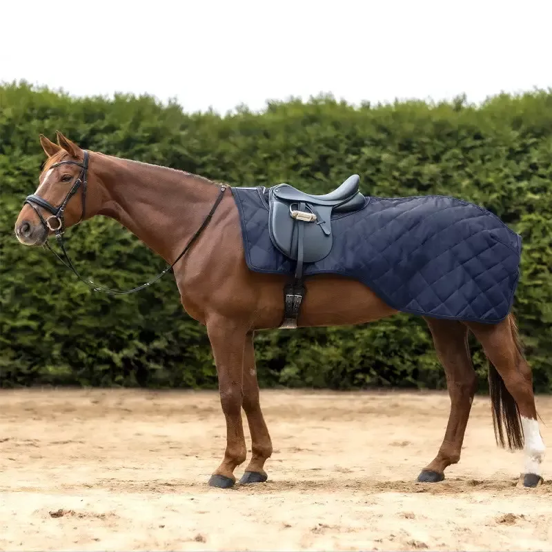 Achetez Aujourdhui Couvre-reins cheval Exclusive 50g Waldhausen – Cob/pur-sang – Noir