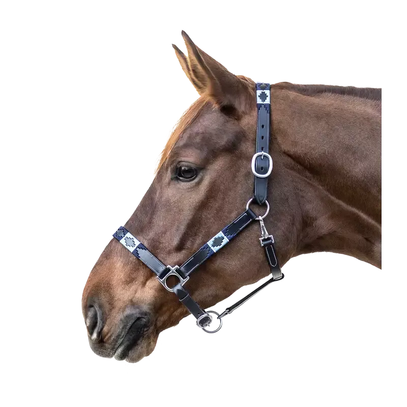 Commande En Gros Licol cheval Polo Waldhausen cuir - Cob/pur-sang - Noir