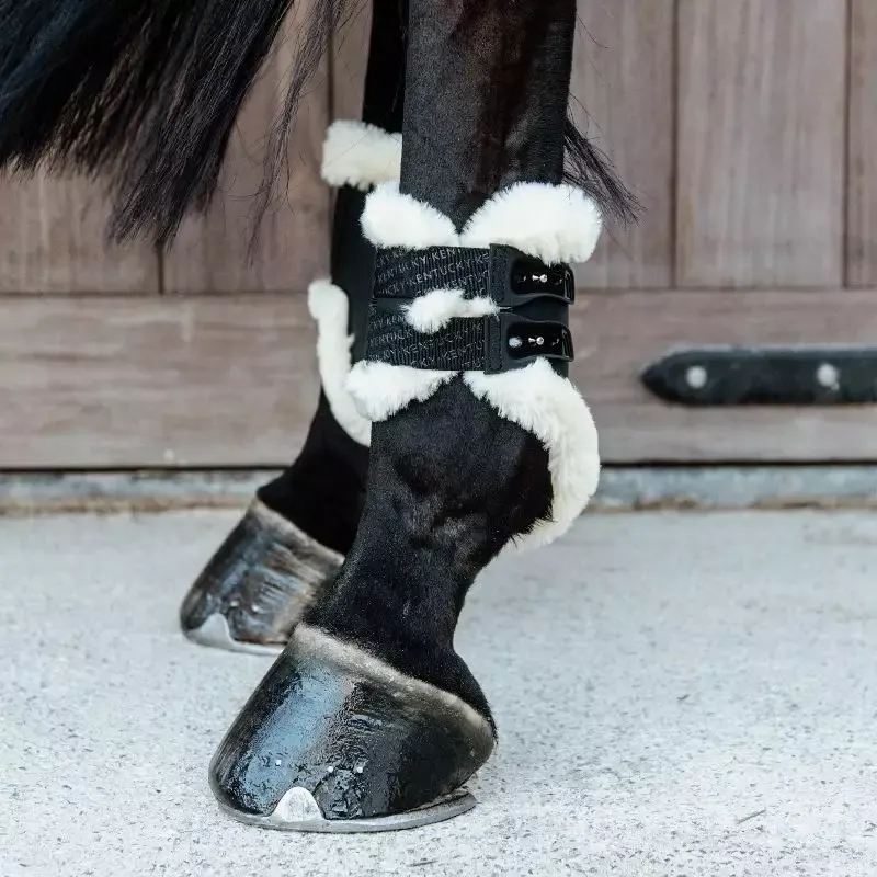 Marque Protge-boulets cheval mouton Kentucky lastique velcro – M – Noir