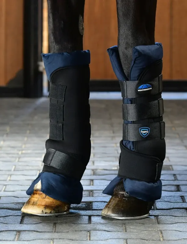 Dernire Chance Stable boots Weatherbeeta Tough-Tec - L - Noir / marine