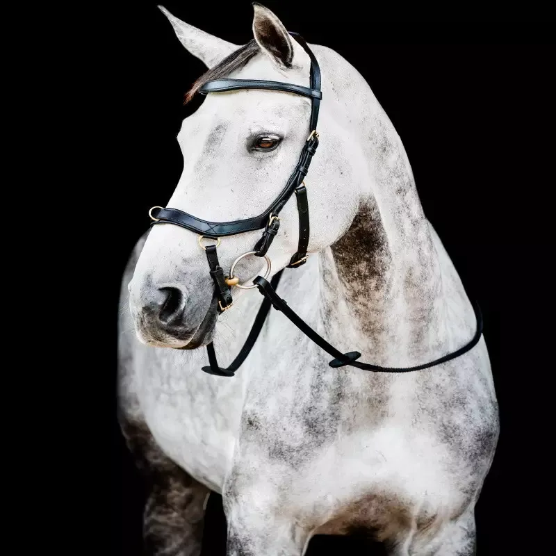 Offre Du Jour Bridon cheval Micklem 2 multi-bride cuir Horseware - Cob/pur-sang - Noir