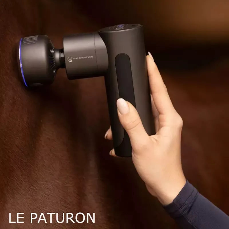 Pistolet de massage cheval Chaud Froid/vibration W-Health Waldhausen Achat Immdiat