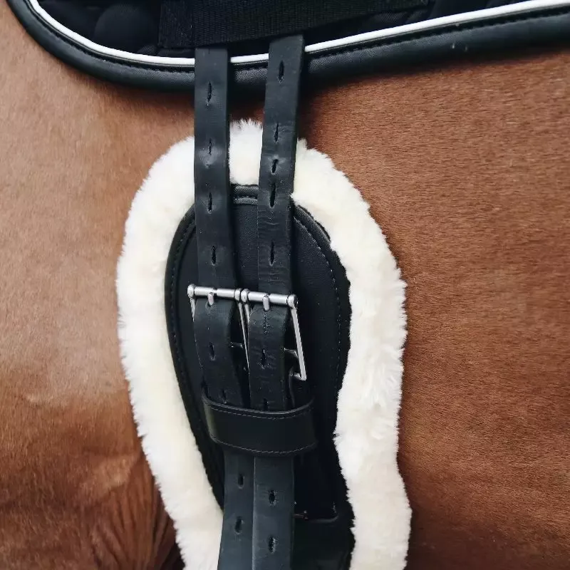 Meilleur Prix Sangle anatomique courte cheval dressage mouton Kentucky – 70 cm – Noir