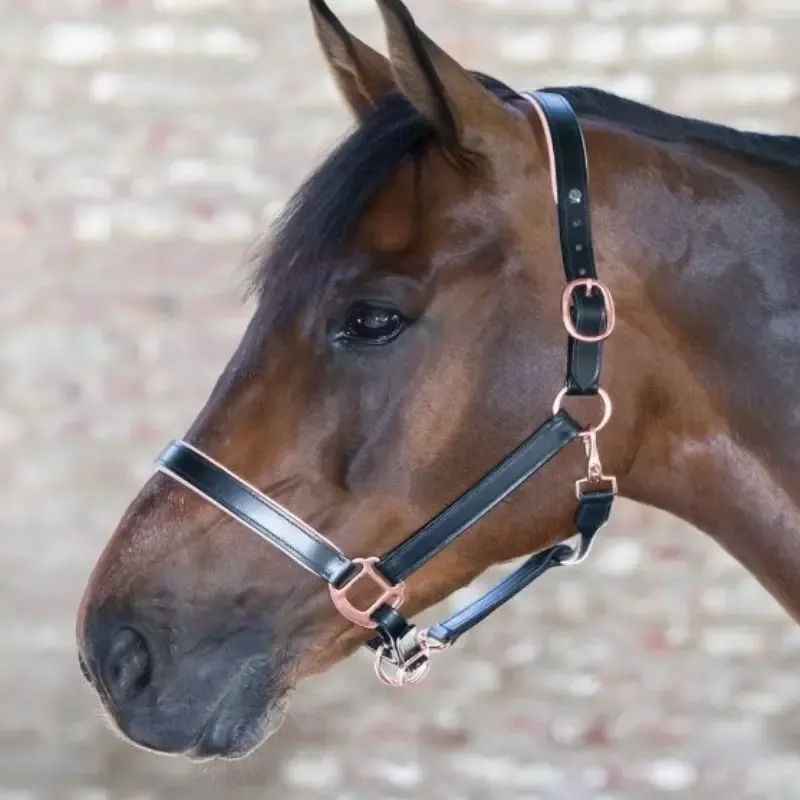 Licol en cuir rose gold Waldhausen - Cheval - Noir Nouveaut