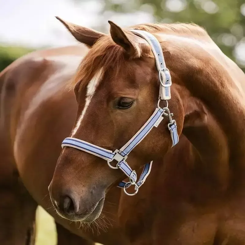 Licol cheval nylon Atheltic Waldhausen - Cheval - Noir Meilleur Choix
