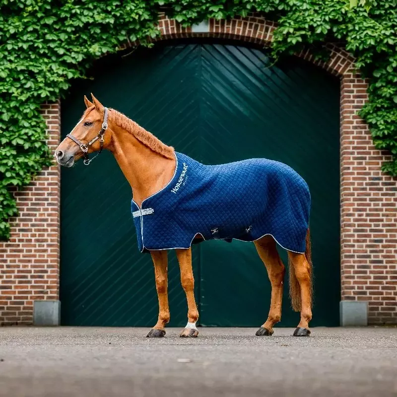 Chemise polaire cheval Autumn 100g Horseware avec couvre-cou - 140 cm - Marine Meilleure Vente