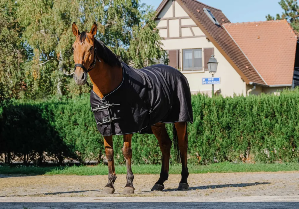 Couverture brillante Riding World - 150 cm - Noir Satisfait Ou Rembours