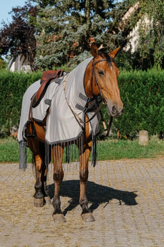Chemise de travail Riding World anti-mouches - 145 cm - Gris Solde