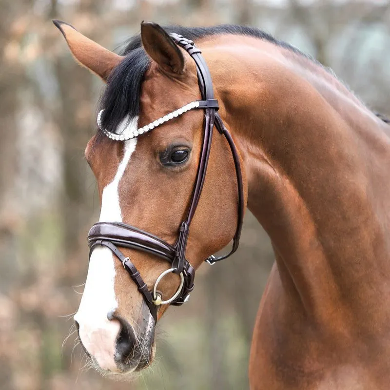 Satisfait Ou Rembours Bridon cheval anatomique Florina Kavalkade - Cheval - Noir