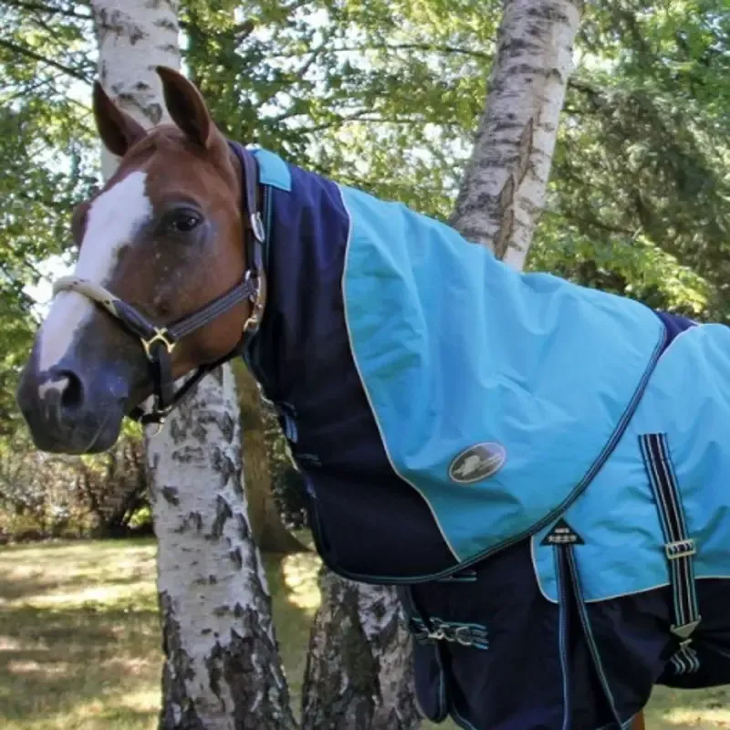 Couvre-cou cheval impermable Pro 0g Performance - S - Bleu Expdition Rapide